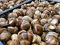 Lumache di Cherasco